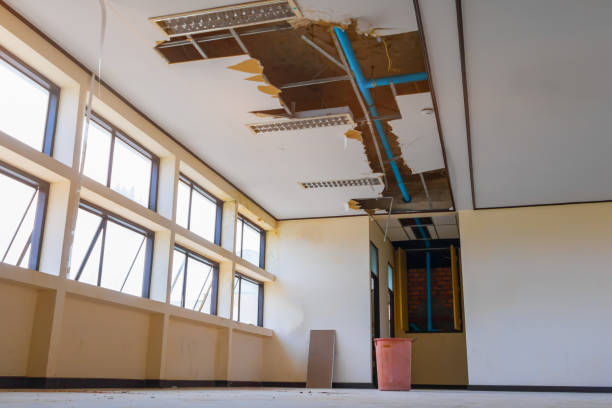 Best Water damage restoration company  in Algood, TN