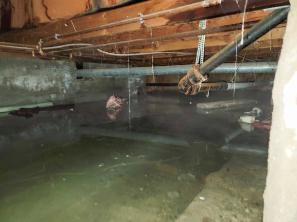 Best Fire Damage Restoration  in Algood, TN