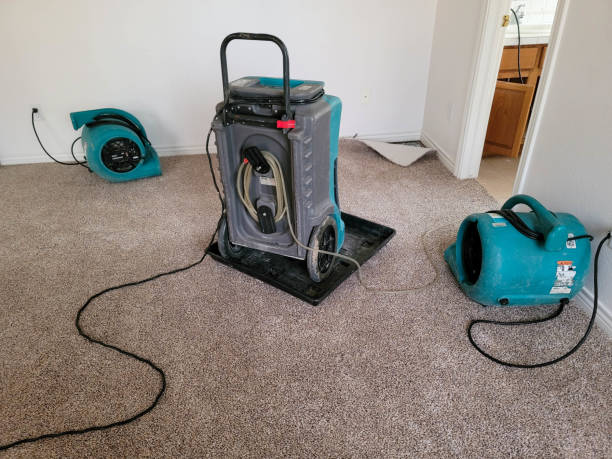 Best Sewage cleanup and water damage restoration  in Algood, TN