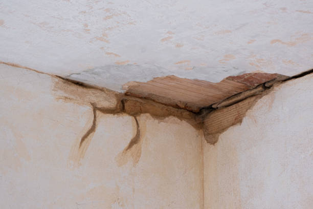 Best 24-hour water damage restoration  in Algood, TN