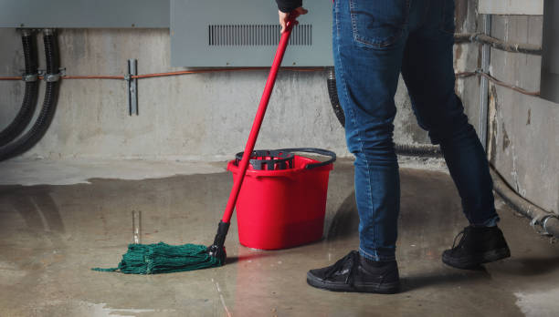 Best Water damage cleanup near me  in Algood, TN