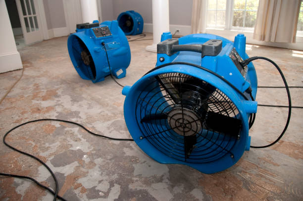 Best Water damage contractors near me  in Algood, TN