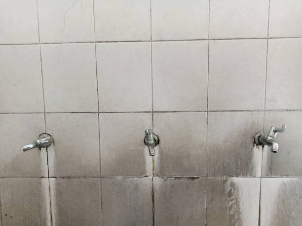 Best Residential water damage restoration  in Algood, TN