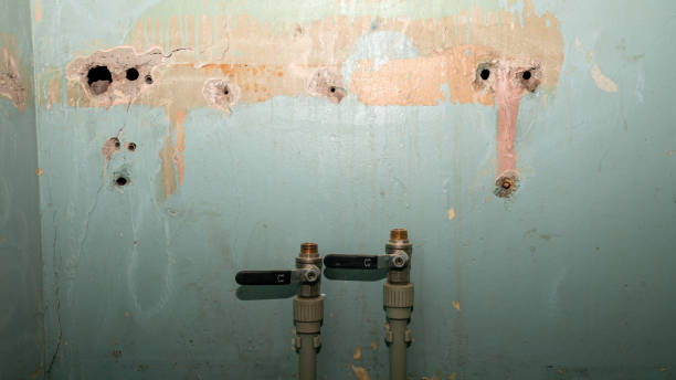 Best Water damage restoration near me  in Algood, TN